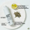Authentic Beauty Concept Amplify cleanser shampoo