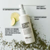 Authentic Beauty Concept Amplify spray conditioner